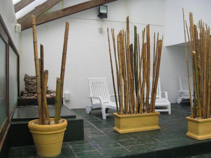 Club Sol Del Este Aparthotel Punta del Este Buitenkant foto
